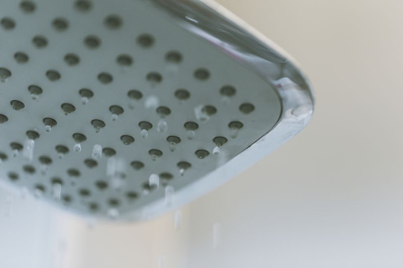 Rainfall Shower Head